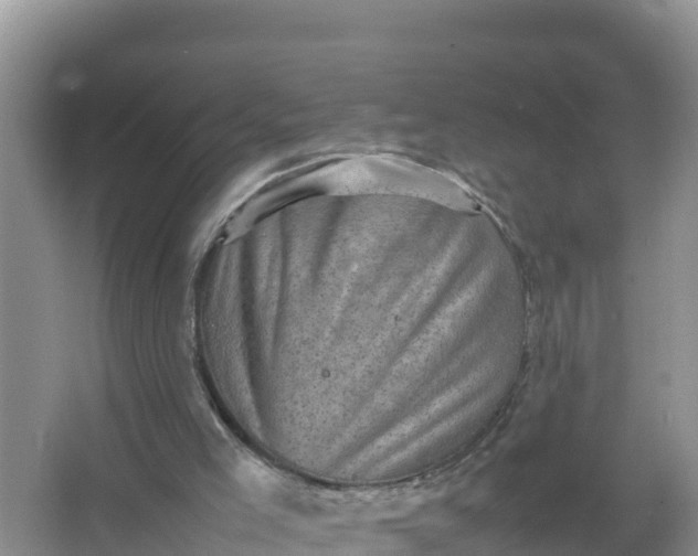 X0000066960005200604072016