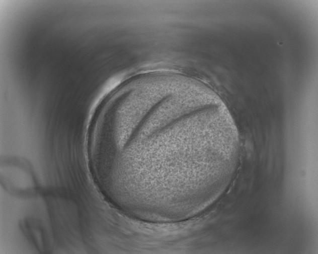 X0000066960006200604072016