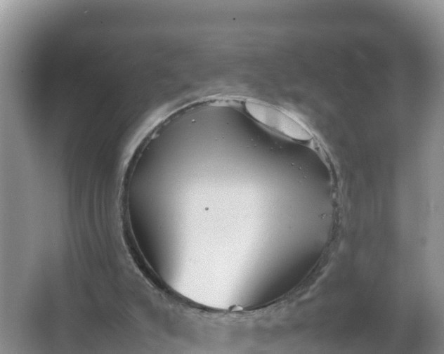 X0000066960007200604072016