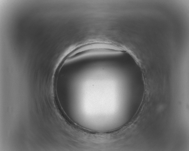 X0000066960008200604072016