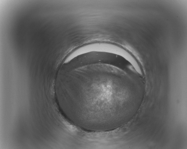 X0000066960009200604072016