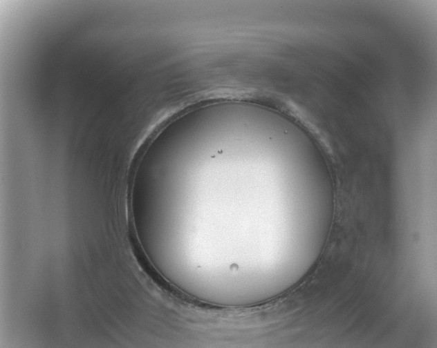 X0000066960011200604072016