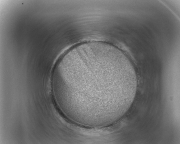 X0000066960012200604072016