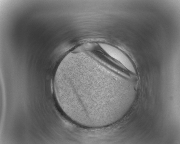 X0000066960013200604072016