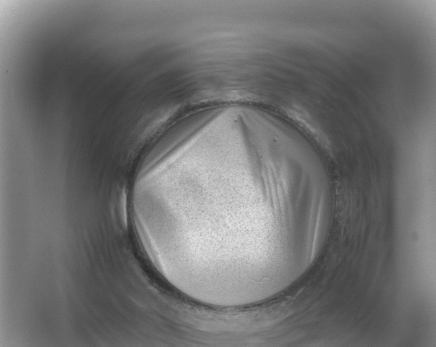 X0000066960014200604072016