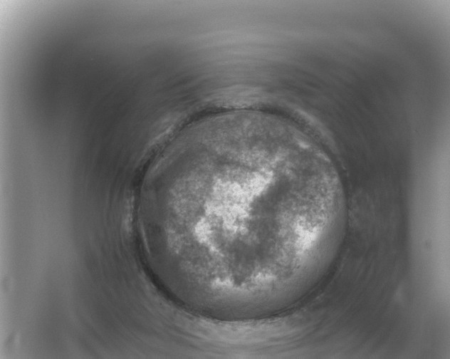 X0000066960018200604072016