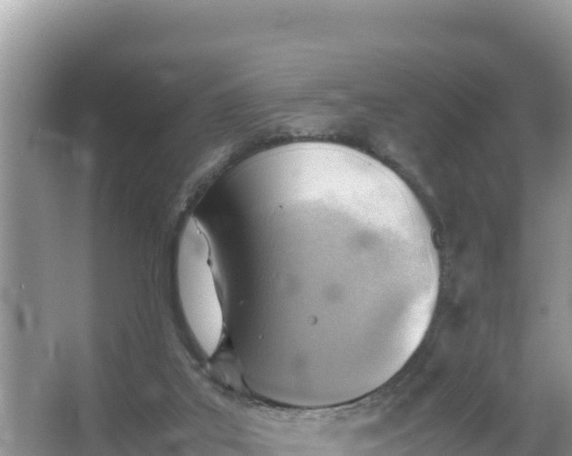 X0000066960019200604072016