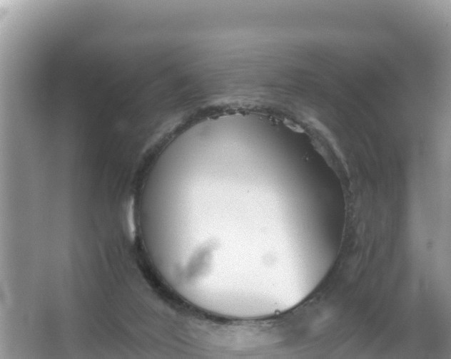 X0000066960020200604072016