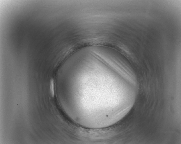 X0000066960022200604072016