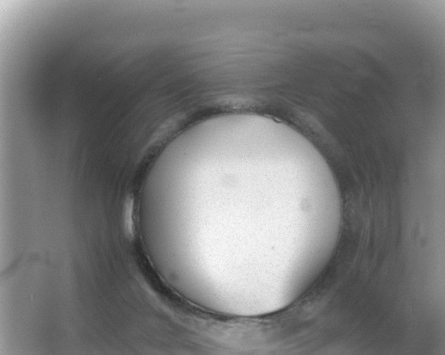 X0000066960024200604072016