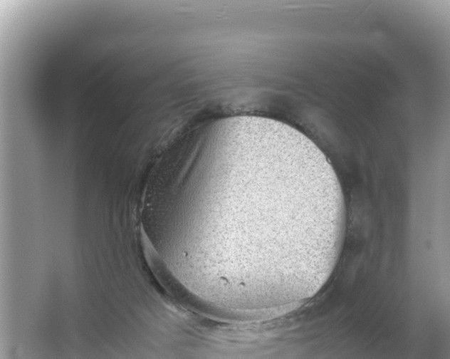 X0000066960025200604072016