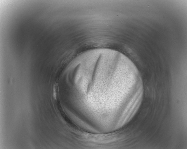 X0000066960026200604072016