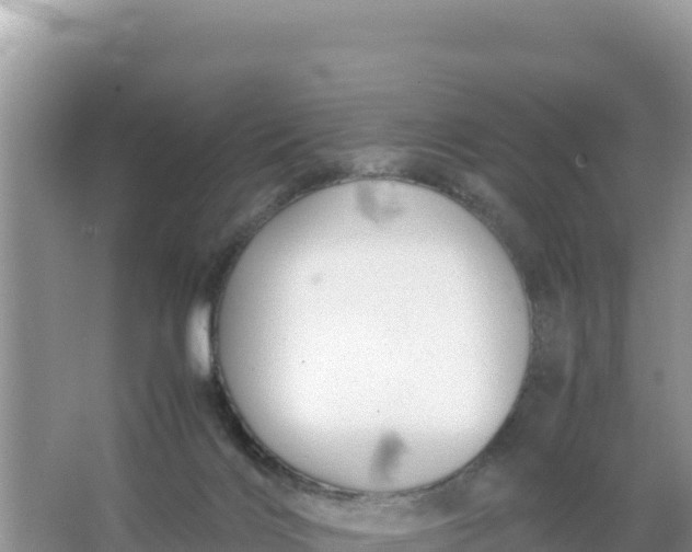 X0000066960028200604072016