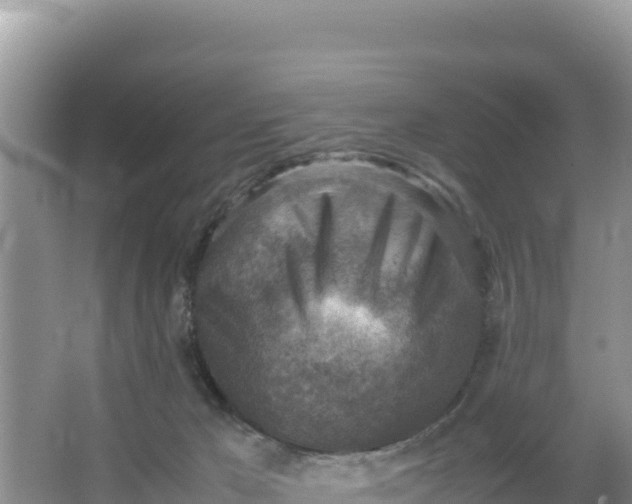 X0000066960029200604072016