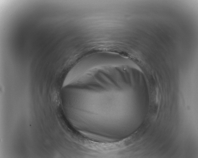 X0000066960031200604072016