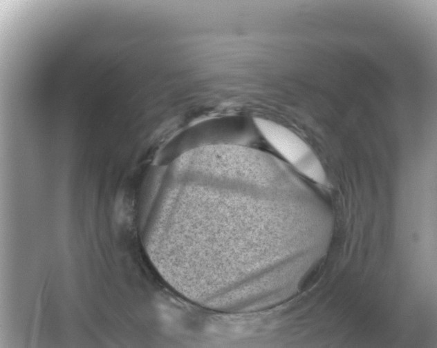 X0000066960033200604072016