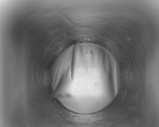 X0000066960034200604072016