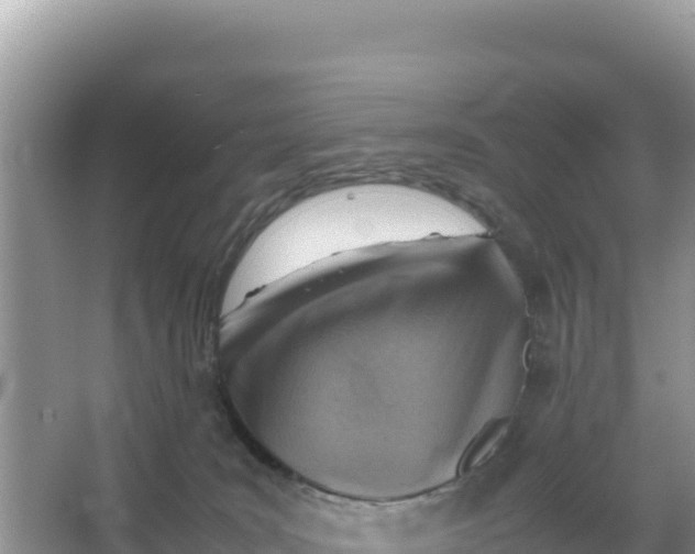 X0000066960035200604072016