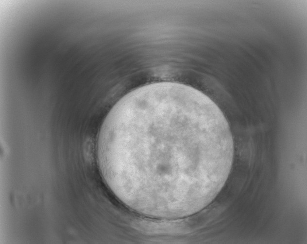 X0000066960036200604072016