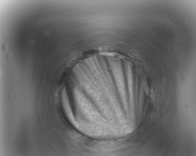 X0000066960037200604072016