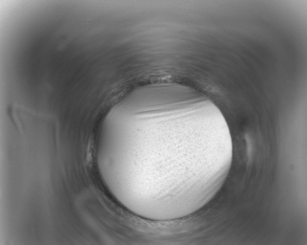 X0000066960038200604072016