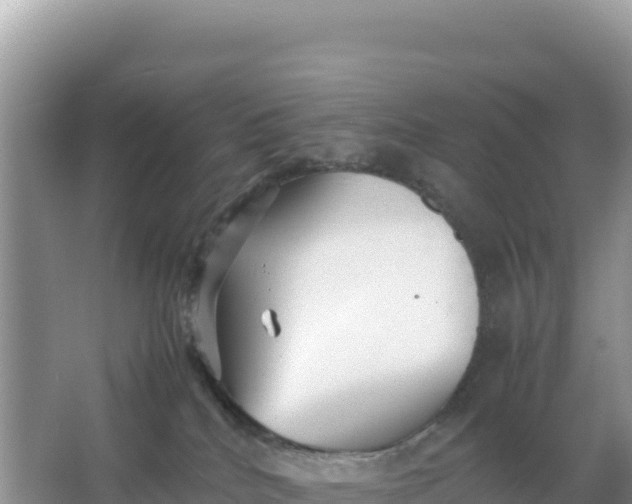 X0000066960040200604072016