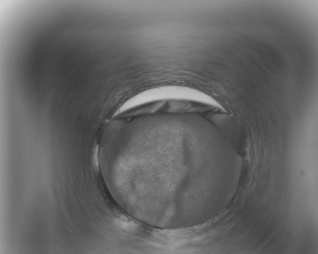 X0000066960041200604072016