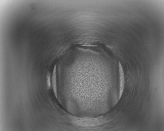 X0000066960042200604072016