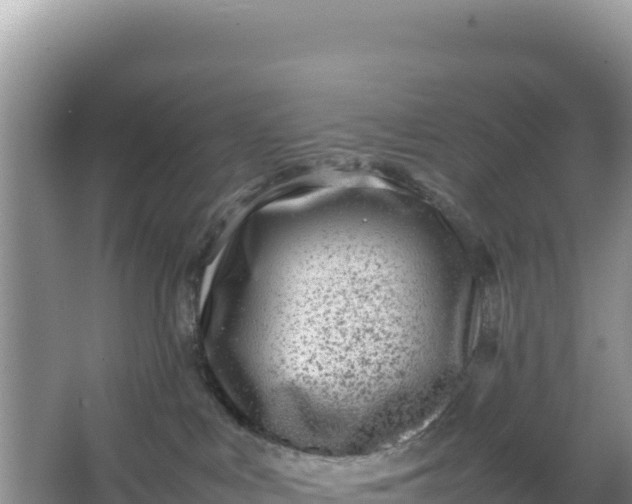 X0000066960043200604072016