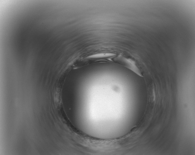 X0000066960044200604072016