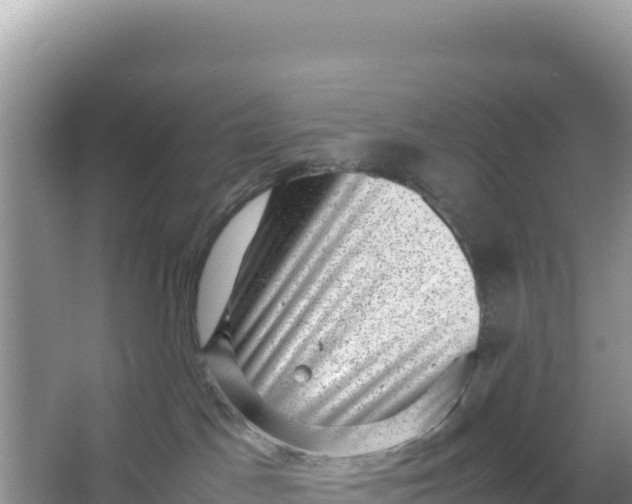 X0000066960045200604072016