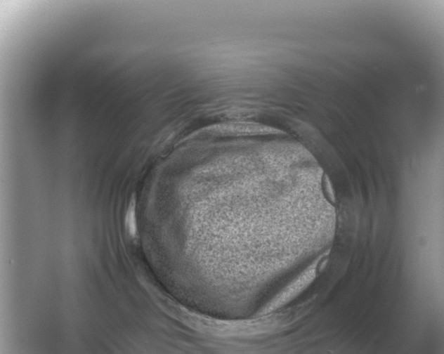 X0000066960046200604072016