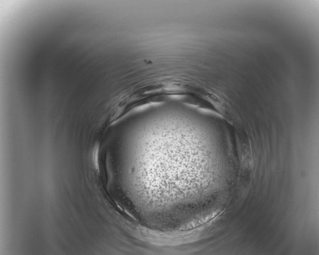 X0000066960047200604072016