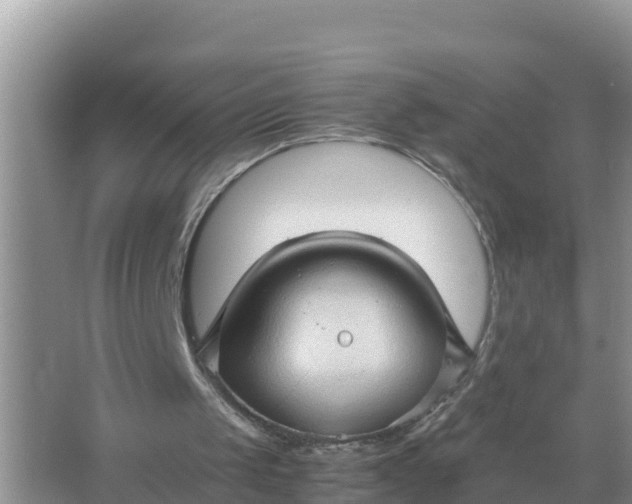 X0000066960049200604072015