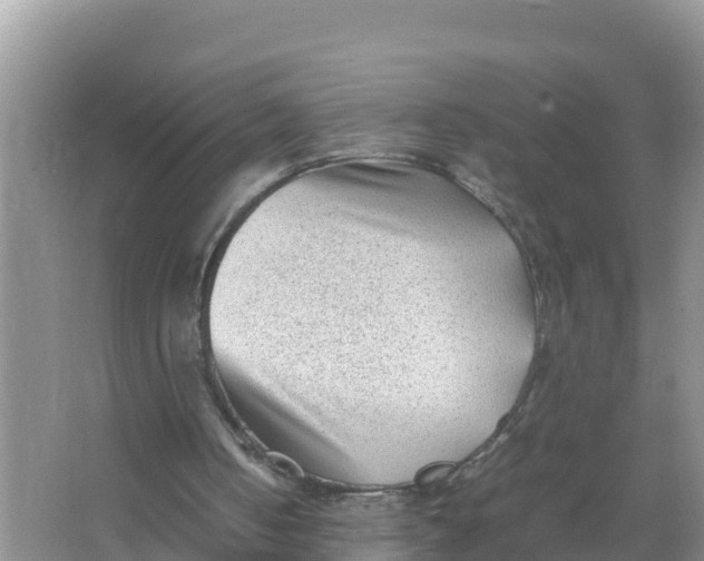 X0000066960050200604072015