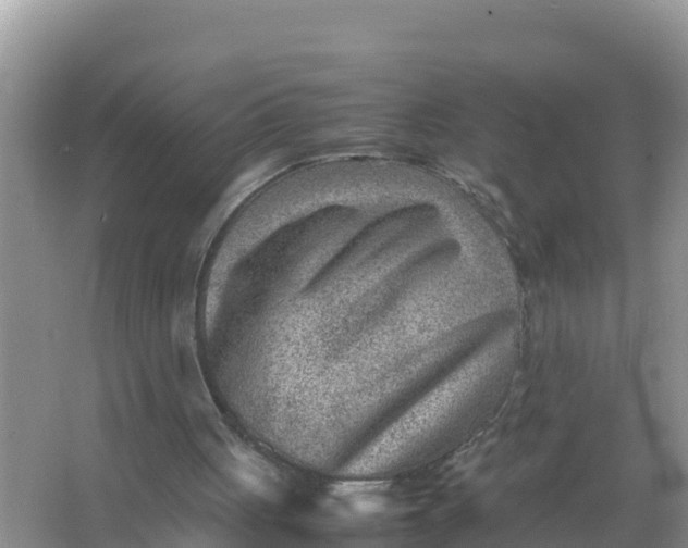 X0000066960051200604072015