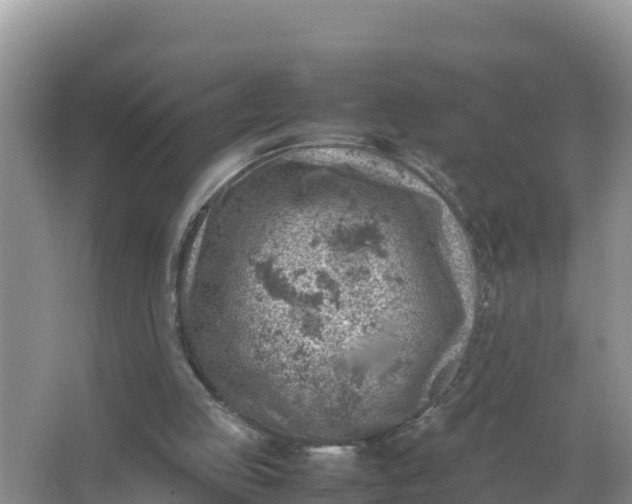 X0000066960053200604072015