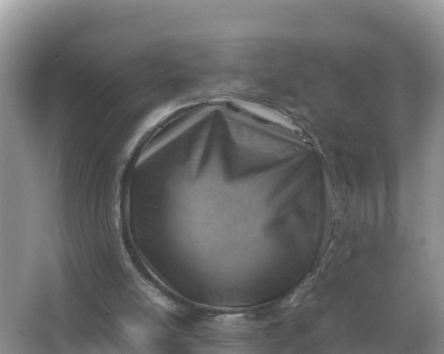 X0000066960054200604072015