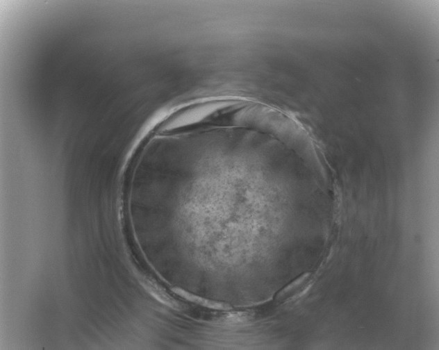 X0000066960056200604072015