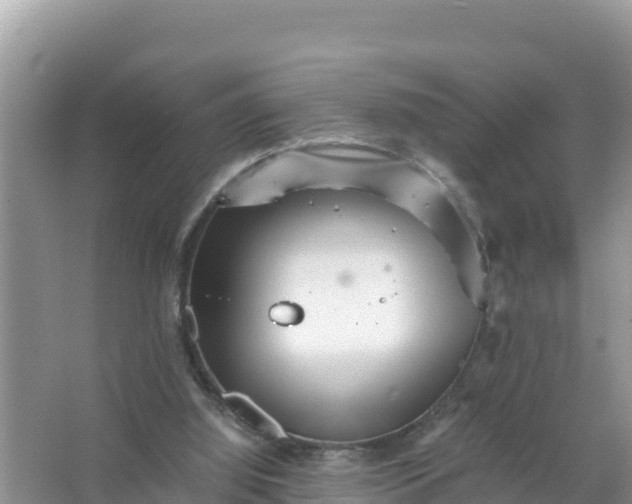 X0000066960060200604072015