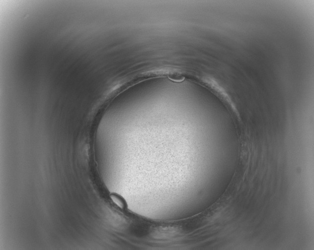 X0000066960063200604072015