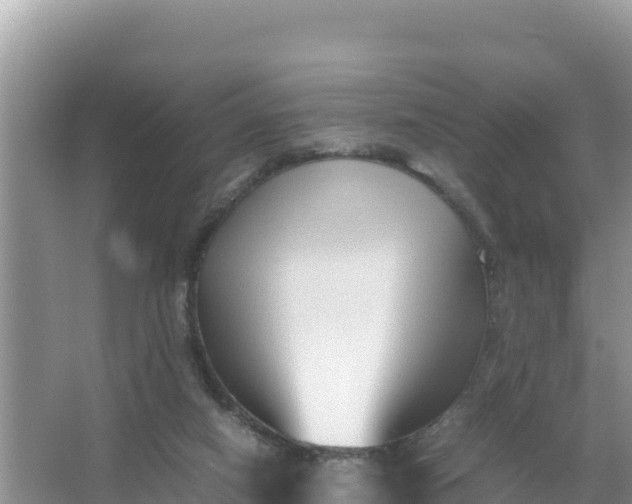 X0000066960066200604072015