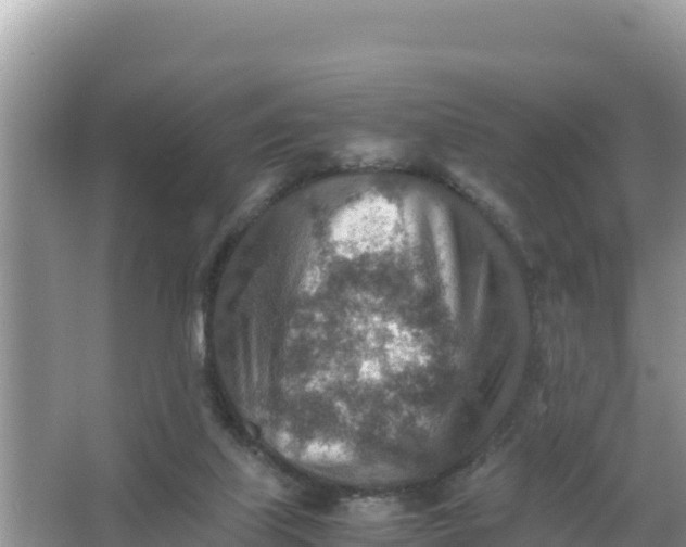 X0000066960067200604072015