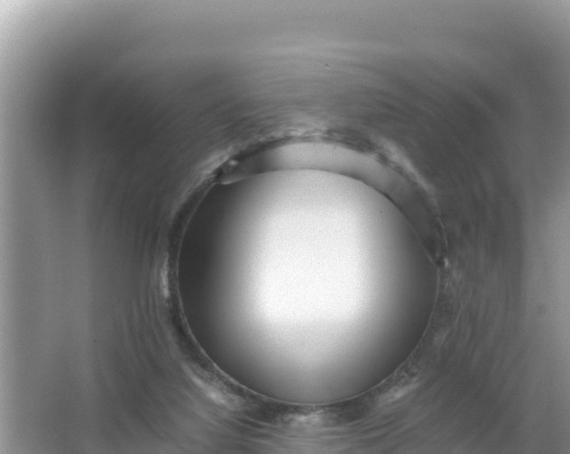 X0000066960068200604072015