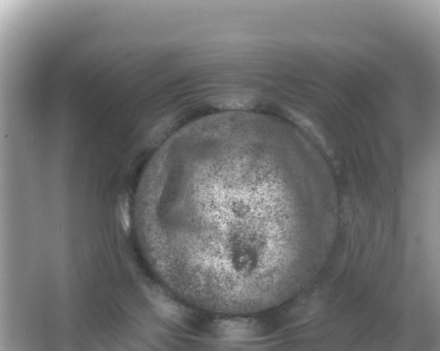 X0000066960069200604072015