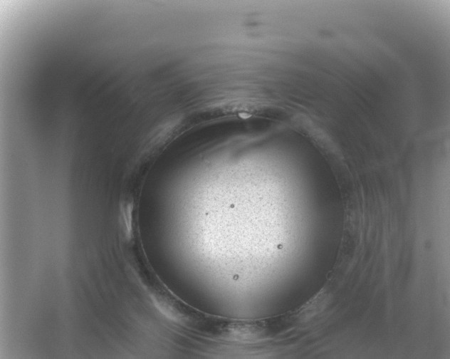 X0000066960070200604072015