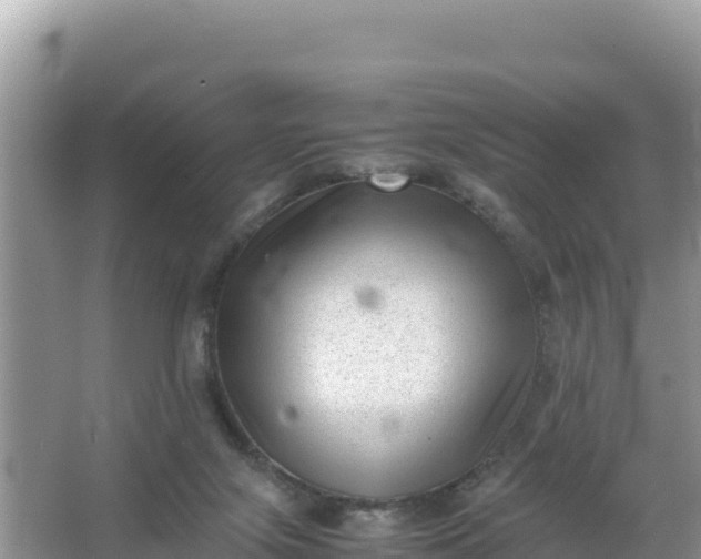 X0000066960071200604072015