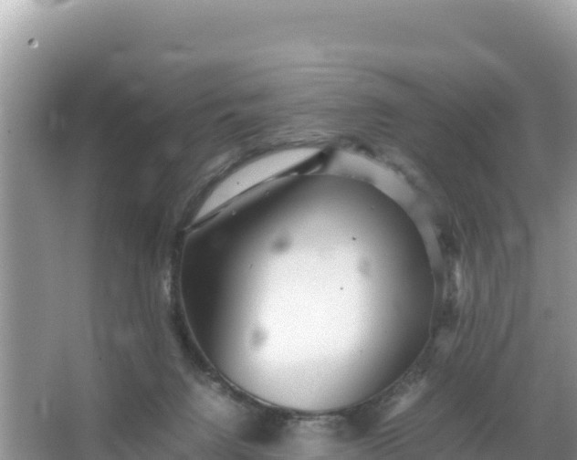 X0000066960072200604072015