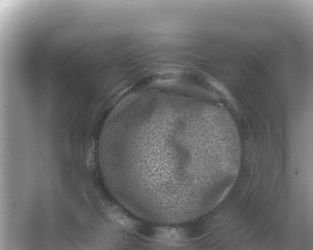 X0000066960073200604072015