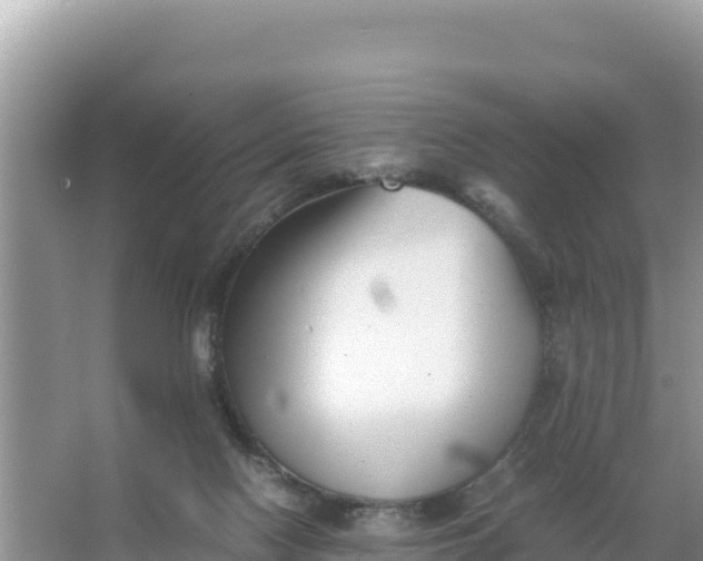 X0000066960074200604072015